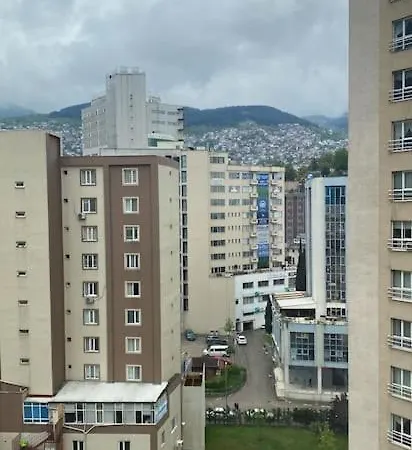 المملكة Bursa